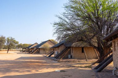 Askham, Güney Afrika - 03 Eylül 2022: Twee Rivieren, Güney Afrika 'daki Kgalagadi Transfrontier Park' ın en büyük dinlenme kampı ve yönetim merkezi.