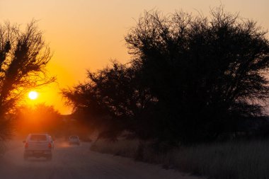 Askham, Güney Afrika - 03 Eylül 2022: Güney Afrika 'daki Kgalagadi Transfrontier Park' ta arabalar