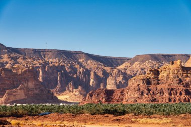 Bereketli palmiye ağaçları ve antik kaya oluşumları, Suudi Arabistan 'ın kuzeybatısındaki engebeli engebeli bir vaha olan Alula' nın çöl kumlarından yükseliyor.