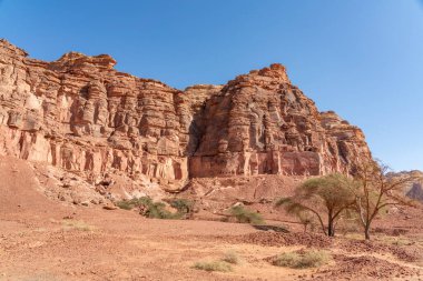 Dadan arkeolojik sahasında kayalara oyulmuş antik kalıntılar, tarihi kayıp bir medeniyetin mirası, AlUla, Suudi Arabistan