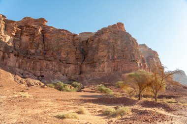 Dadan arkeolojik sahasında kayalara oyulmuş antik kalıntılar, tarihi kayıp medeniyetin mirası, Suudi Arabistan, Alula 'da