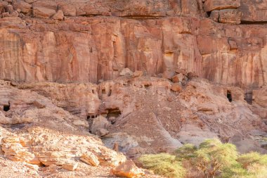 Dadan arkeolojik sahasında kayalara oyulmuş antik kalıntılar, tarihi kayıp medeniyetin mirası, Suudi Arabistan, Alula 'da