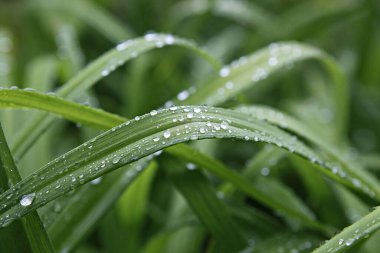 Su damlacıkları olan bir fabrikaya yakın çekim