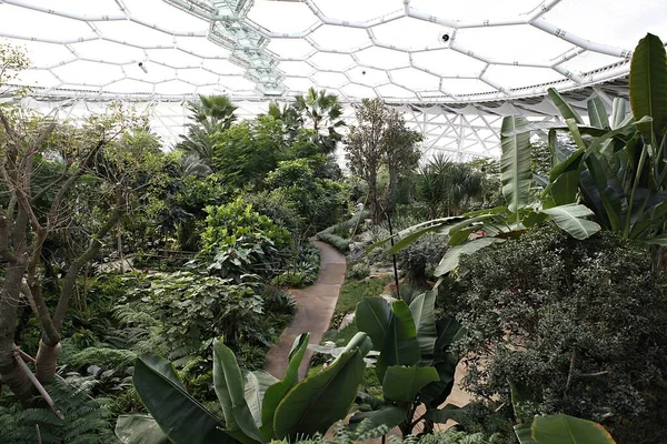 Yürüme yolu ve bir sürü bitkisi olan bir sera