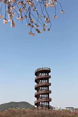 Tarlada saati olan bir kule.