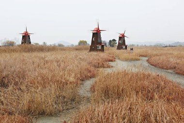 Toprak yolu olan bir arazide üç yel değirmeni