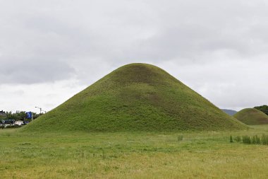 Bir tarlada büyük bir ot yığını.