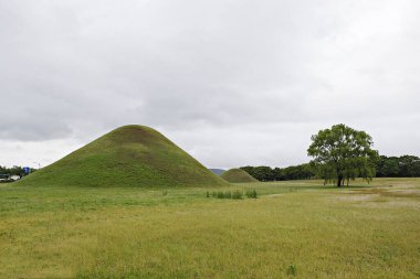 Bir tarlada büyük bir ot yığını.