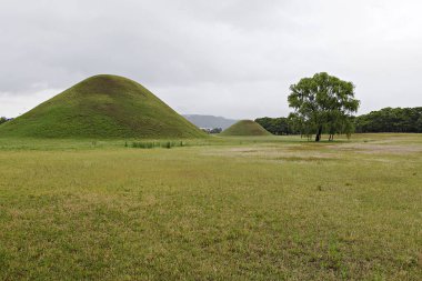 Arka planda tepe olan otlak bir alan.