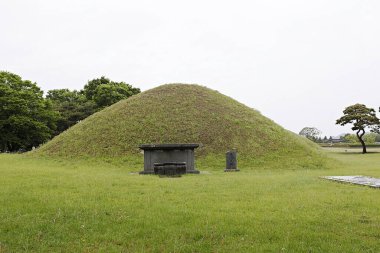 Ortasında bank olan bir çim yığını.