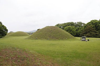 Arka planda çimen yığını olan çimenlik bir alan.