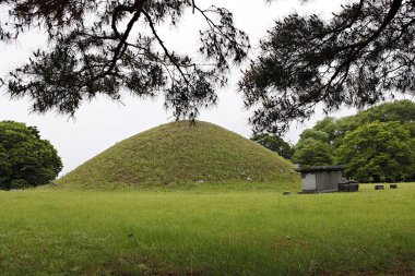 Önünde bir bank olan çimen yığını.