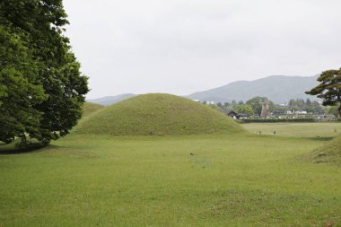 Ortasında çimen yığını olan çimenlik bir tarla.
