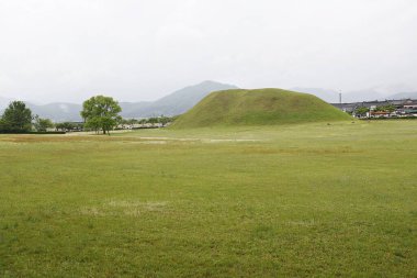 Arka planda tümsek olan çimenlik bir alan