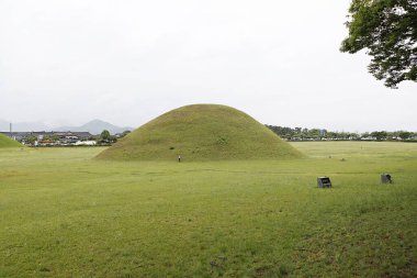 Arka planda tümsek olan çimenlik bir alan