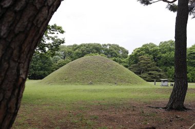 Ağaçlı bir parkta çimen yığını.