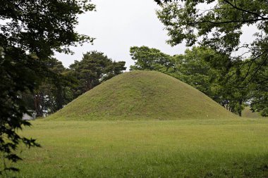 Ağaçlı bir tarlada çimen yığını