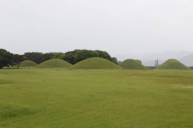 Çimen ve ağaçlarla dolu bir tarla.
