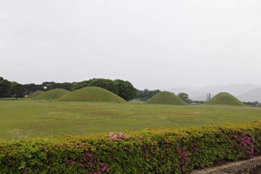 Arka planda tümsekler olan bir alan