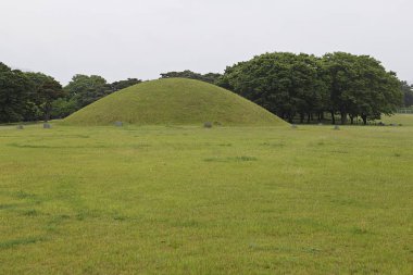Ortasında tümsek olan çimenlik bir alan.