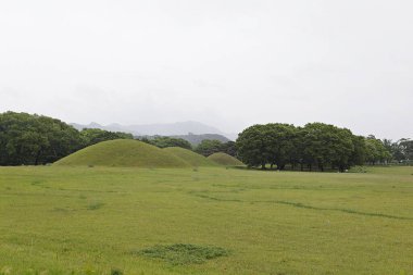 Arka planda tümsek olan çimenlik bir alan
