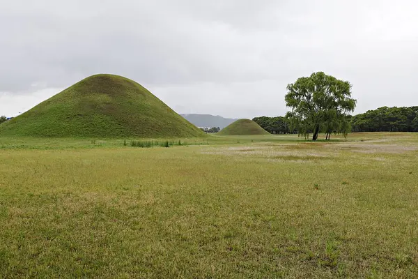 Arka planda tepe olan otlak bir alan.