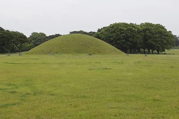 Ortasında tümsek olan çimenlik bir alan.