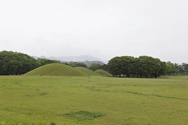 Arka planda tümsek olan çimenlik bir alan