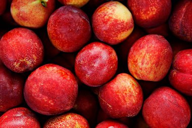 Kırmızı olgun erikleri kapatın.