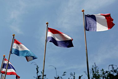 Hollanda rüzgarda bayrak sallıyor