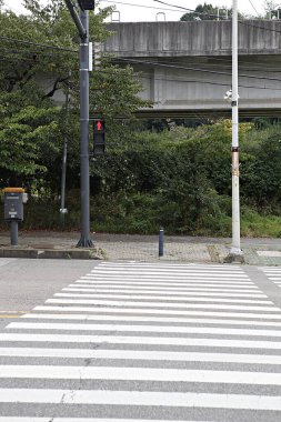 Zebra geçiş hong Kong