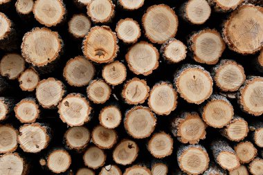 Kışın yakacak odun yığını