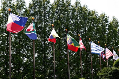 Farklı ülkelerin bayrakları parktaki ağaçların arka planında