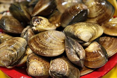 Pazarda yemek pişirmek için taze deniz ürünleri