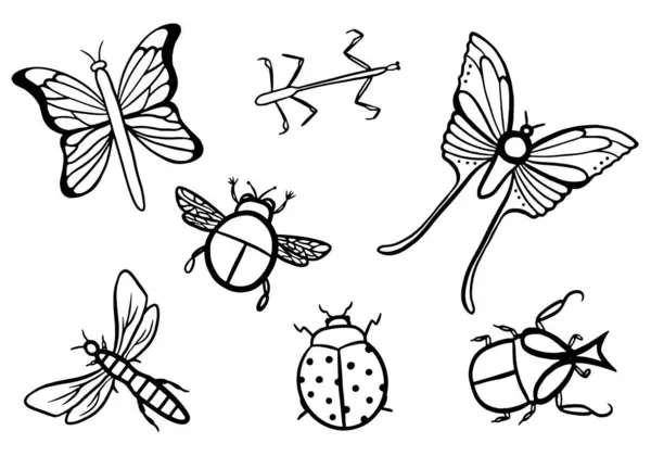 Bugs Butterflies Vector Doodle Set — Stock Vector