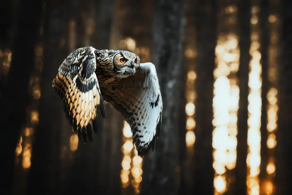 Ormanda yüzen Bengal kartalı baykuşu (Bubo bengalensis)