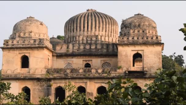 Morning View Royal Cenotaphs Chhatris Orchha Madhya Pradesh Índia Orchha — Vídeo de Stock