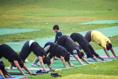 Yeni Delhi, Hindistan, 18 Haziran 2022 - Lodhi Garden 'da farklı yaşlarda insanlar için grup yoga sınıfı Surya Namaskar, Uluslararası Yoga Günü, parkta yoga dersine katılan büyük bir grup yetişkin