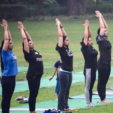 Yeni Delhi, Hindistan, 18 Haziran 2022 - Lodhi Garden 'da farklı yaşlarda insanlar için grup yoga sınıfı Surya Namaskar, Uluslararası Yoga Günü, parkta yoga dersine katılan büyük bir grup yetişkin