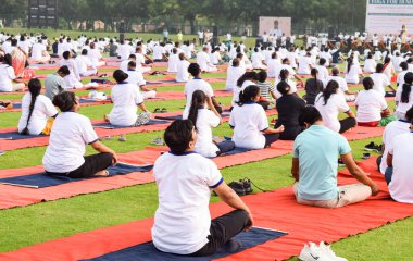 Uluslararası Yoga Günü 'nde Delhi' deki kriket stadyumunda farklı yaş gruplarından insanlar için grup Yoga egzersiz oturumu.