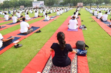 Uluslararası Yoga Günü 'nde Delhi' deki kriket stadyumunda farklı yaş gruplarından insanlar için grup Yoga egzersiz oturumu.