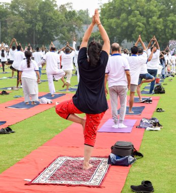 Uluslararası Yoga Günü 'nde Delhi' deki kriket stadyumunda farklı yaş gruplarından insanlar için grup Yoga egzersiz oturumu.