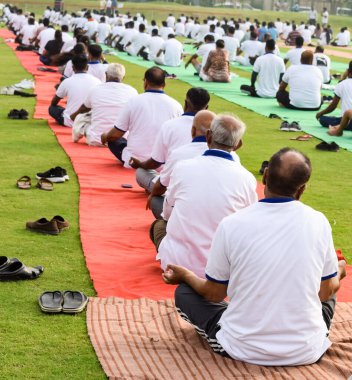 Uluslararası Yoga Günü 'nde Delhi' deki kriket stadyumunda farklı yaş gruplarından insanlar için grup Yoga egzersiz oturumu.