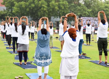 Uluslararası Yoga Günü 'nde Delhi' deki kriket stadyumunda farklı yaş gruplarından insanlar için grup Yoga egzersiz oturumu.