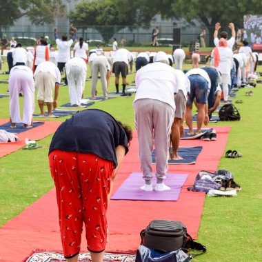 Uluslararası Yoga Günü 'nde Delhi' deki kriket stadyumunda farklı yaş gruplarından insanlar için grup Yoga egzersiz oturumu.