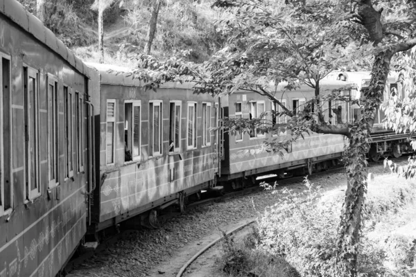 おもちゃの列車は山の斜面 美しい景色 片側の山 片側の谷は緑豊かな自然の森の中の丘に鉄道で移動します インドのカルカからシムラへのおもちゃの列車黒と白 — ストック写真