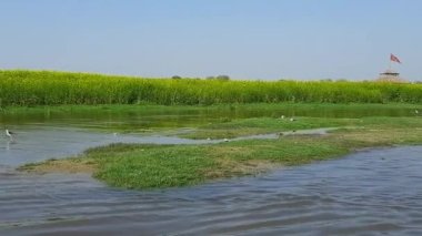 Yamuna Nehri Vrindavan, Krishna Tapınağı 'ndaki tekneden Vrindavan kasabasındaki Yamuna Nehri kıyısındaki Kesi Ghat, Yamuna Nehri Vrindavan Vrindavan' daki tekne manzarası.