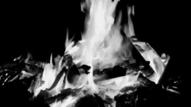 Siyah arka planda ateş alevleri, alev alev dokusu arka planda, çok güzel, ateş yanıyor, odun ve inek gübresi ile ateş siyah ve beyaz şenlik ateşi