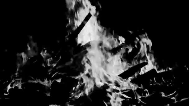 Fire Flames Black Background Blaze Fire Flame Texture Background Beautifully — Stock Video