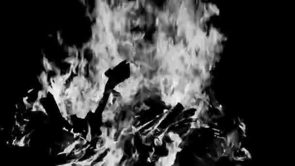 黒の背景に火の炎 炎の炎のテクスチャの背景 美しいです 火が燃えています 木や牛の糞たき火で火の炎黒と白 — ストック動画